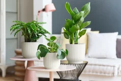 Elho Bloempot Vibes Fold Rond O30Cm Wit-Brico Outlet