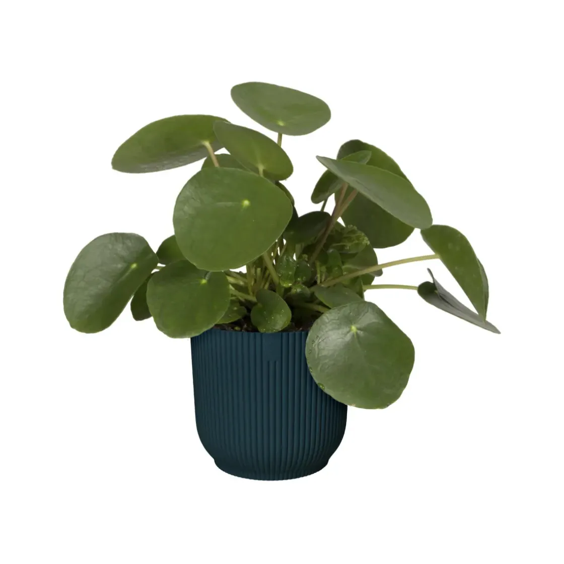 Elho Bloempot Vibes Fold Rond O22Cm Deep Blue-Brico Online