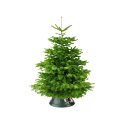 Brico Elho Kerstboomvoet Nordman Groen 39Cm Best