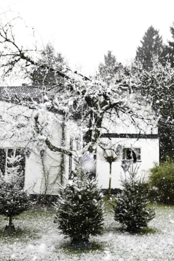 Brico Elho Kerstboomvoet Nordman Groen 39Cm Best