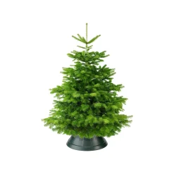 Brico Elho Kerstboomvoet Nordman Groen 52Cm Clearance