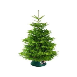 Brico Elho Kerstboomvoet Oslo Kunststof 38Cm Discount