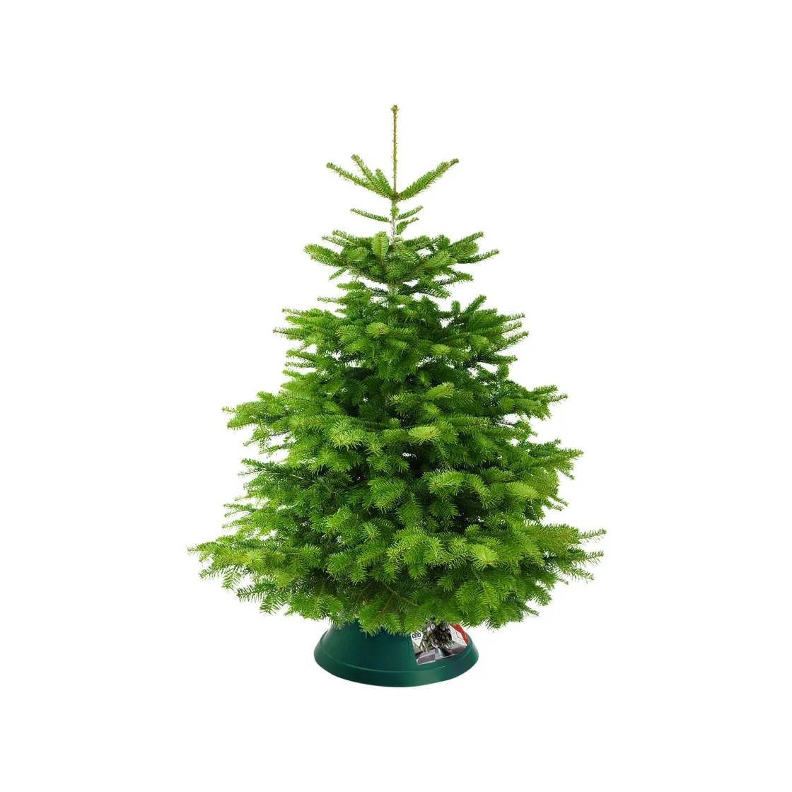 Brico Elho Kerstboomvoet Oslo Kunststof 38Cm Discount