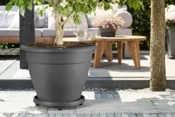 Elho Universele Planttaxi 40Cm Antraciet-Brico Online