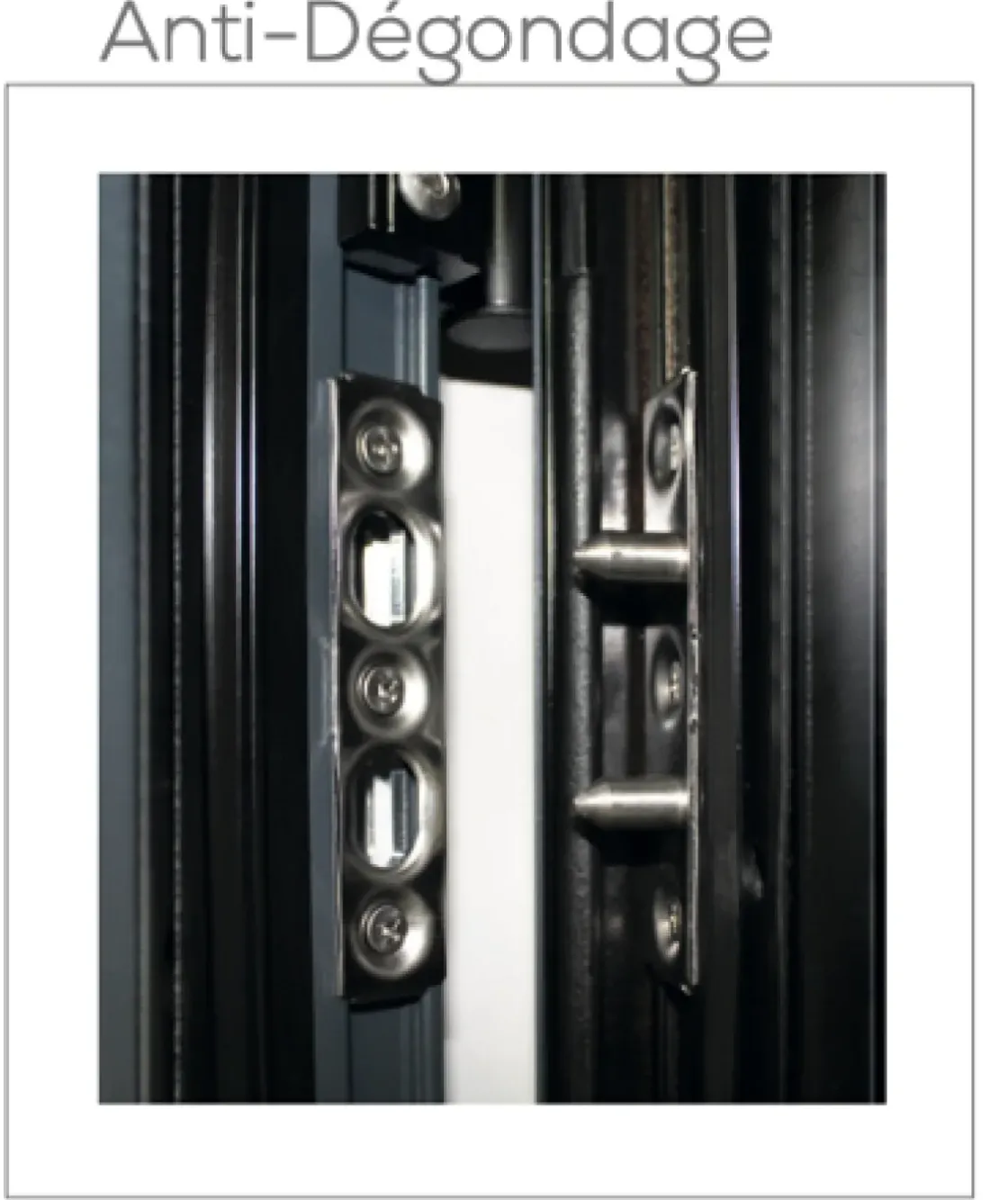 Elsealu Buitendeur Soria Antracietgrijs 218X96Cm-Brico Hot