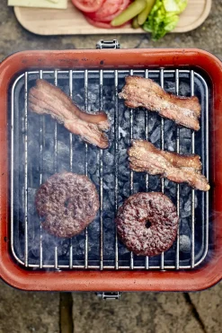 Everdure Cube Houtskool Barbecue Grijs 38,4X31,6X22,4Cm-Brico Online