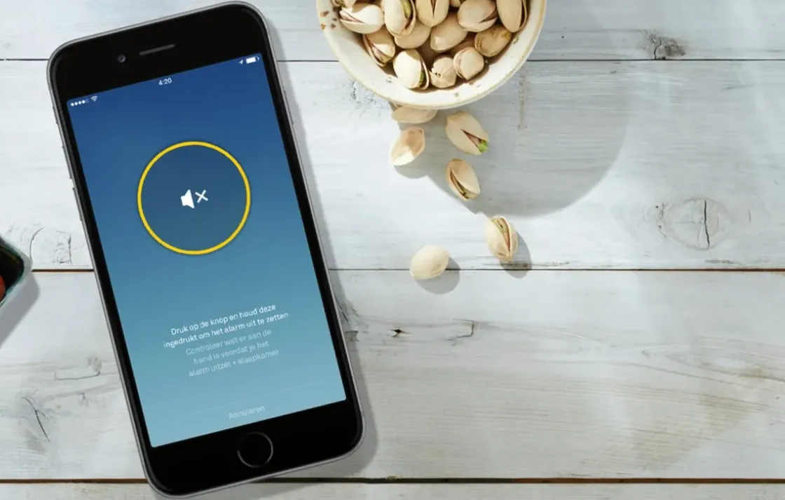 Google Nest Rook- En Koolmonoxidemelder Protect + Batterij-Brico Best