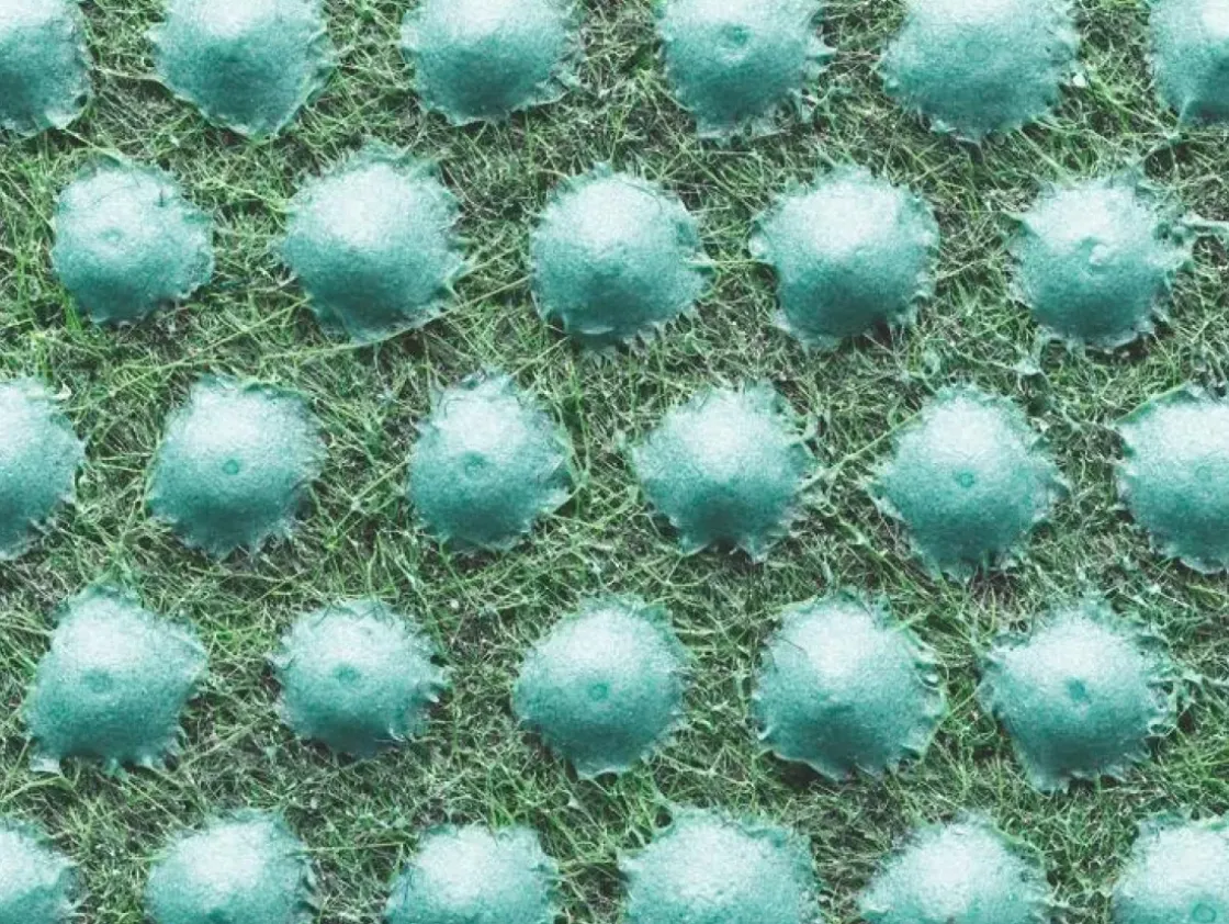 Grastapijt 400X133Cm-Brico New