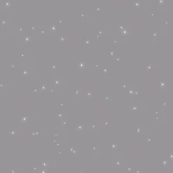 Id Glitterverf Paillett' Oscar 2L-Brico Hot