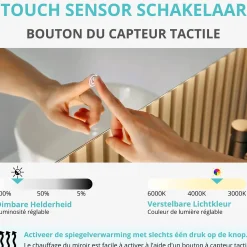 Brico Lomazoo Badkamerspiegel Bryce Met Led Verlichting 60 X 80 Cm Outlet