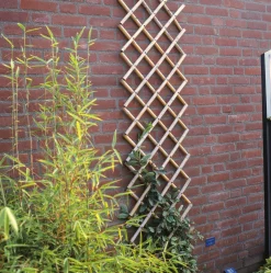 Brico Nature Bamboeklimrek 70X180Cm Sale