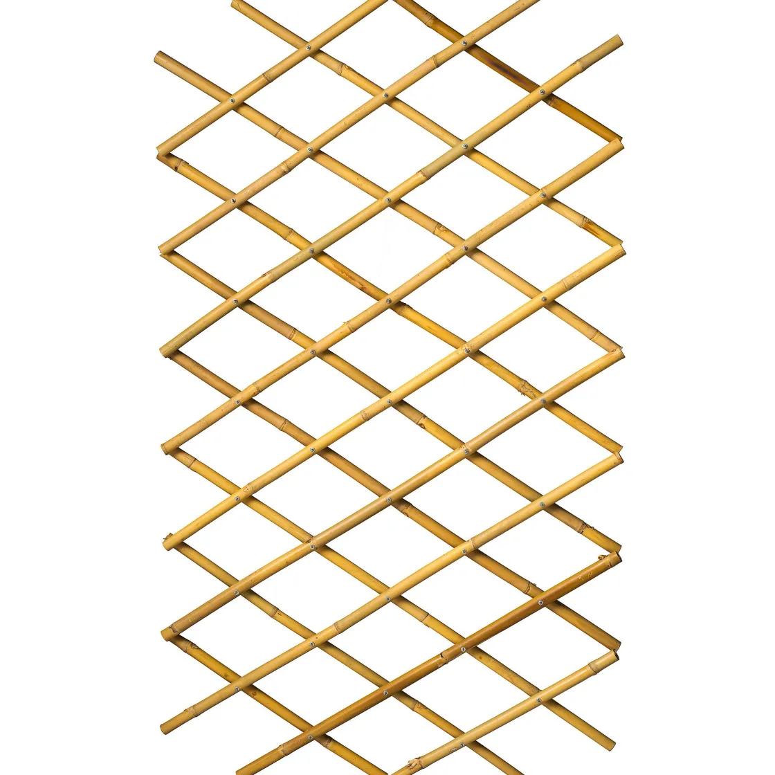 Brico Nature Bamboeklimrek 100X200Cm Clearance