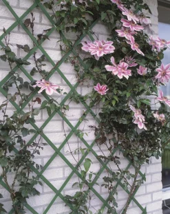 Brico Nature Klimrek Kunststof 100X200Cm Discount