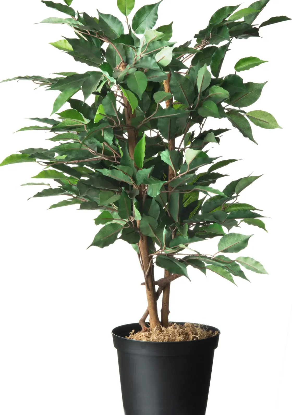 Nature Tuinplantcontainers 5L H18Xo22,5Cm 2 Stuks-Brico Discount