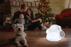 Brico Newgarden Klaus 30 Play & Light Bluetooth Speaker Online