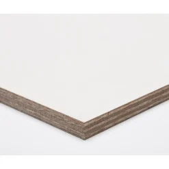 Brico Paintplex Multiplex Plaat 122X244Cm 9Mm Clearance