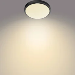 Brico Philips Plafondlamp Doris Zwart O31,3Cm 17W