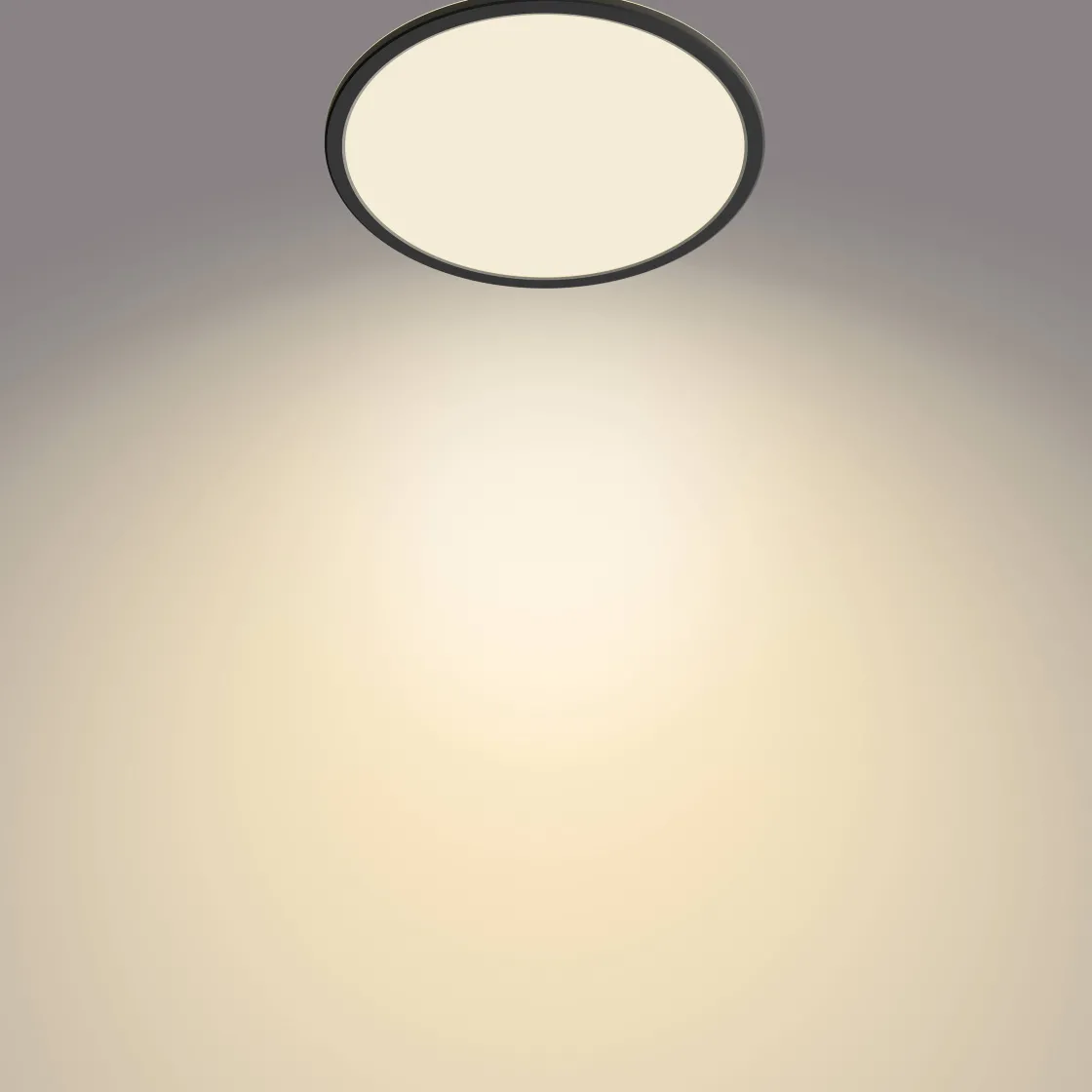 Brico Philips Plafondlamp Superslim Zwart O30Cm 18W