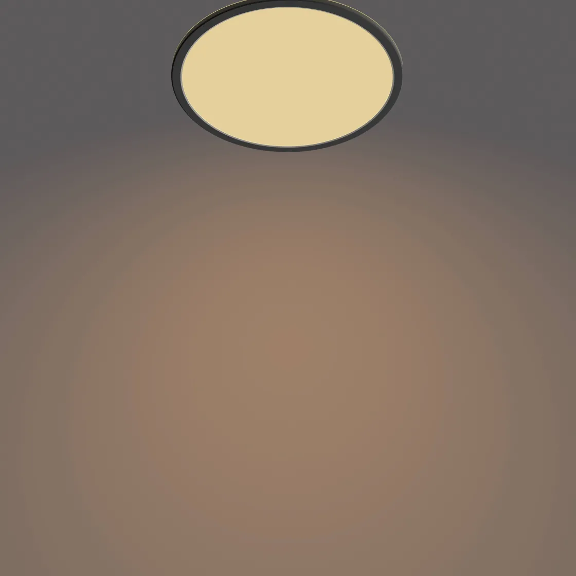 Brico Philips Plafondlamp Superslim Zwart O30Cm 18W