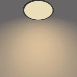 Brico Philips Plafondlamp Superslim Zwart O30Cm 18W