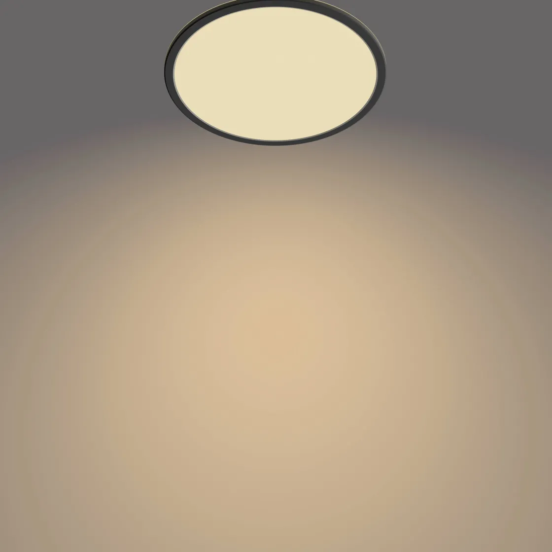 Brico Philips Plafondlamp Superslim Zwart O30Cm 18W