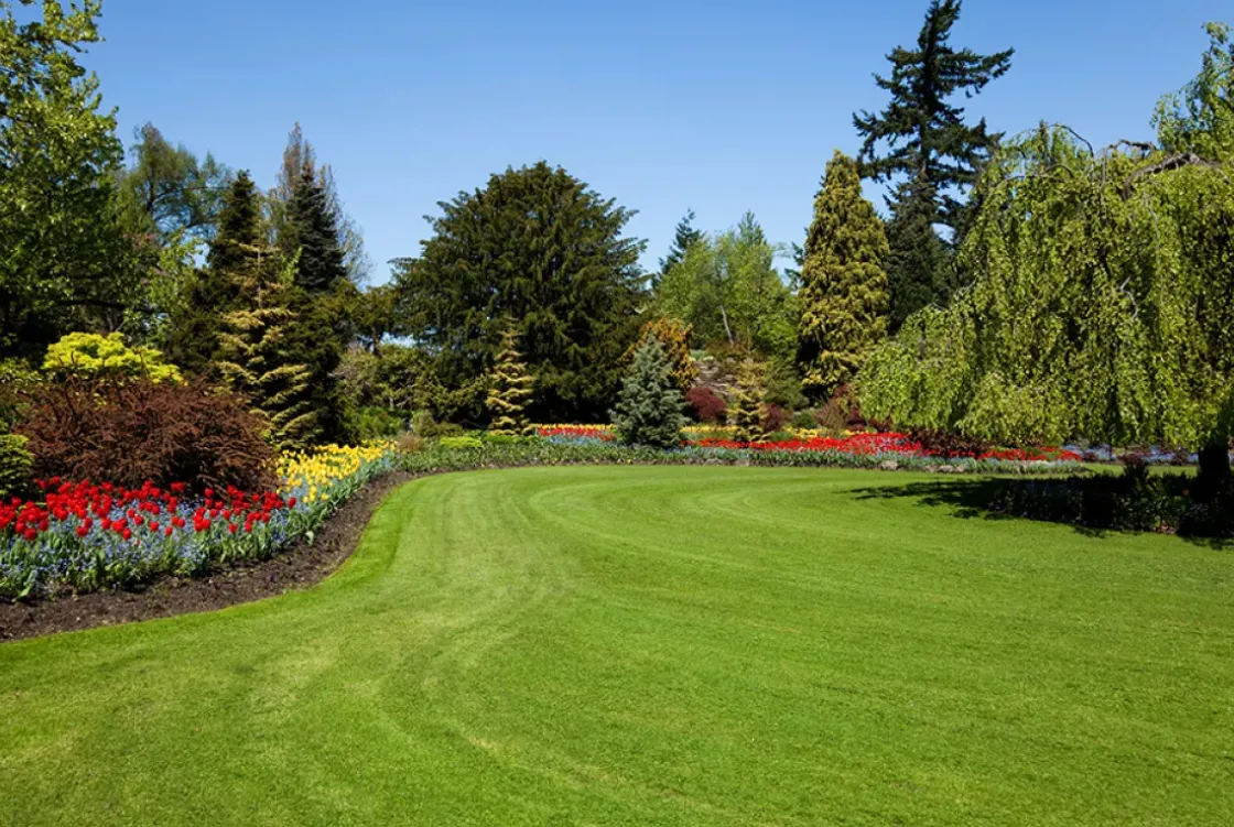 Professionele Kunststof Randbegrenzing B-Edge Pro Xl 15M - Zwart-Brico Clearance