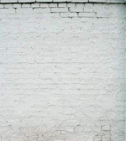 Renaulac Buitenmuurverf Gevel Voorstrijk & Fixeer Transparant 2,5L-Brico