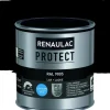 Renaulac Lak Protect Ral9005 Zijdeglans 250Ml-Brico Hot