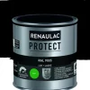 Renaulac Lak Protect Ral9005 Mat 250Ml-Brico Discount
