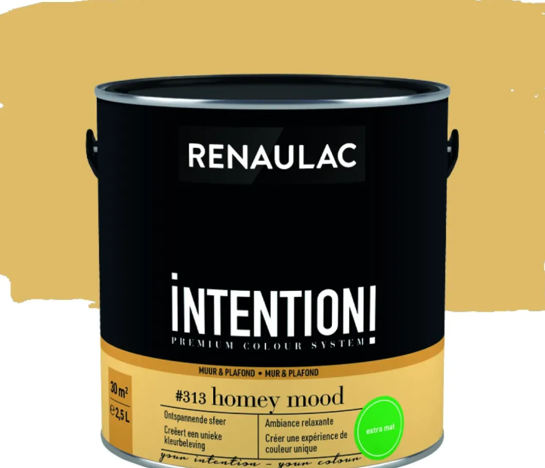Renaulac Muur- En Plafondverf Intention Homey Mood Extra Mat 2,5L-Brico