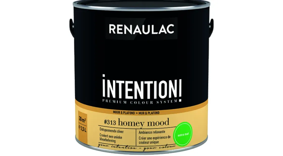Renaulac Muur- En Plafondverf Intention Homey Mood Extra Mat 2,5L-Brico