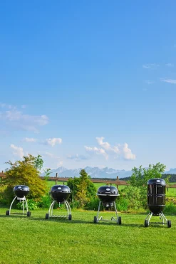 Rosle Houtskoolbarbecue No. 1 Sport F50 68X68X99Cm-Brico Discount