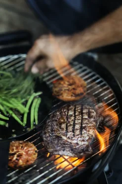 Rosle Houtskoolbarbecue No. 1 Sport F50 + Beschermhoes 69,5X67X99Cm-Brico Online