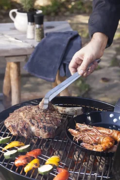 Rosle Houtskoolbarbecue No. 1 Sport F50 + Beschermhoes 69,5X67X99Cm-Brico Online