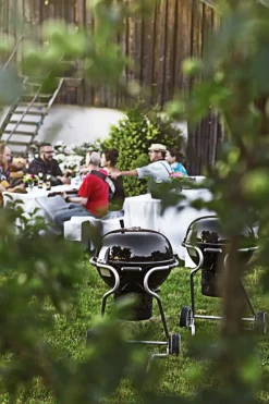 Rosle Houtskoolbarbecue No. 1 F60 Air 75X83X115Cm-Brico Online