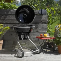 Rosle Houtskoolbarbecue No. 1 F60 Air 75X83X115Cm-Brico Online