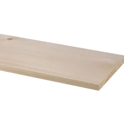 Brico Schaaflat Vuren 18X190Mm 270Cm Best