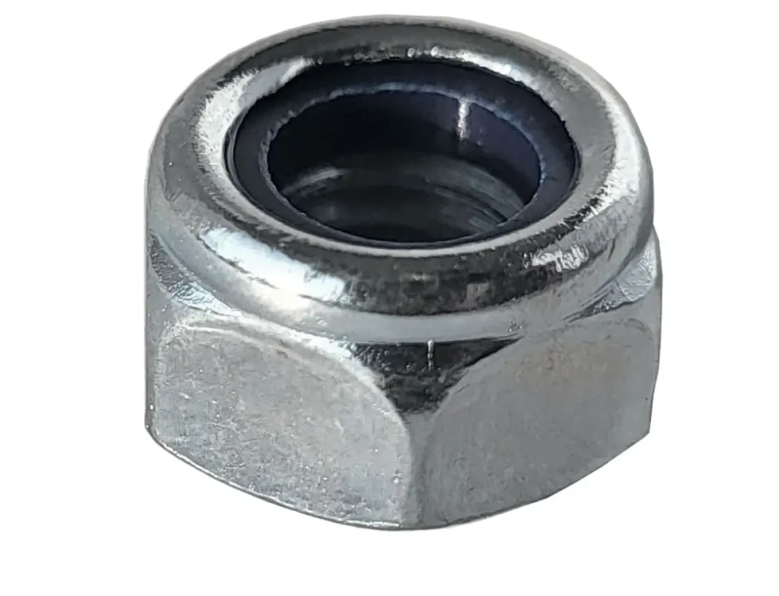 Sencys Borgmoer Verzinkt M10 8St-Brico Best