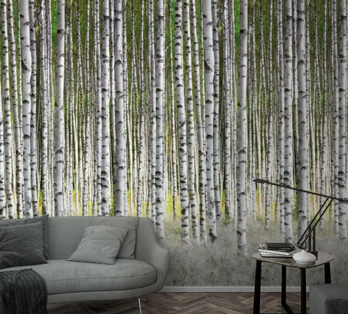 Smart Art Fotobehang Berkenbos-Brico Hot