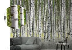 Smart Art Fotobehang Berkenbos-Brico Hot