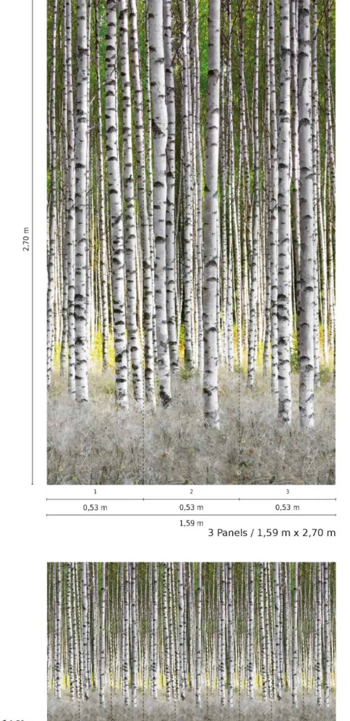 Smart Art Fotobehang Berkenbos-Brico Hot