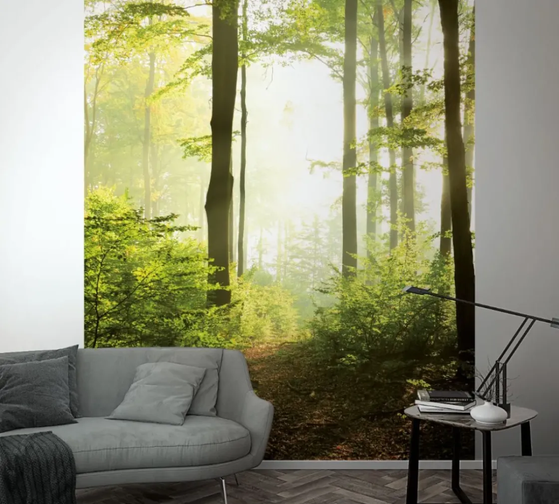 Smart Art Fotobehang Bosweg-Brico Clearance