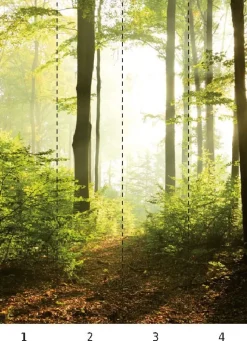 Smart Art Fotobehang Bosweg-Brico Clearance