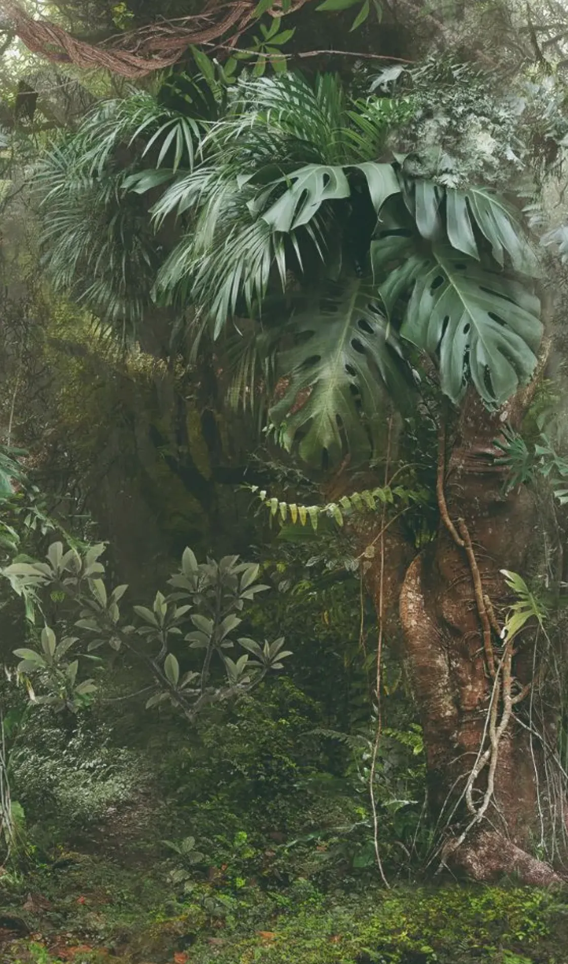 Smart Art Fotobehang Groene Jungle-Brico