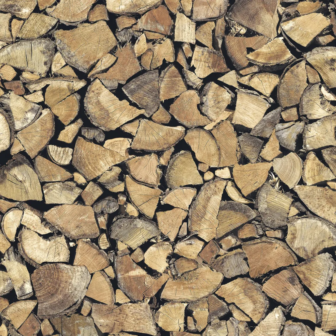 Brico Transform Zelfklevende Decoratiefolie Tree Trunk 45X200Cm Hot