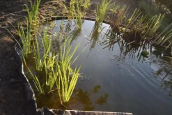 Ubbink Borderrand Borderfix 14Cmx15M-Brico Outlet