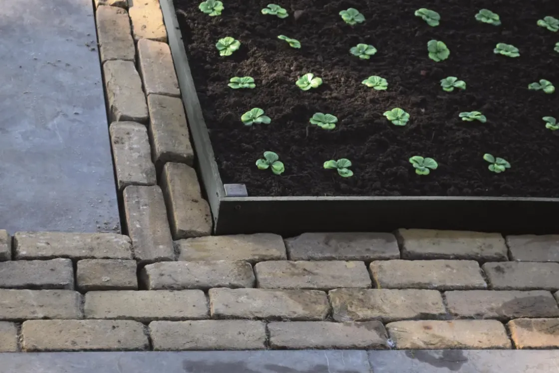 Ubbink Piketpaal Borderfix 58X3,6X3,8Cm-Brico