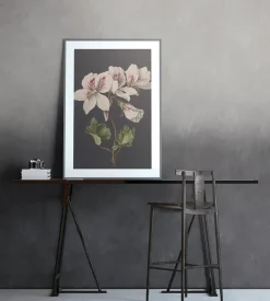 Vanilla Lime Fotobehang 14268-Brico Discount