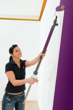 Wagner Automatische Verfroller Easy Roller-Brico Outlet