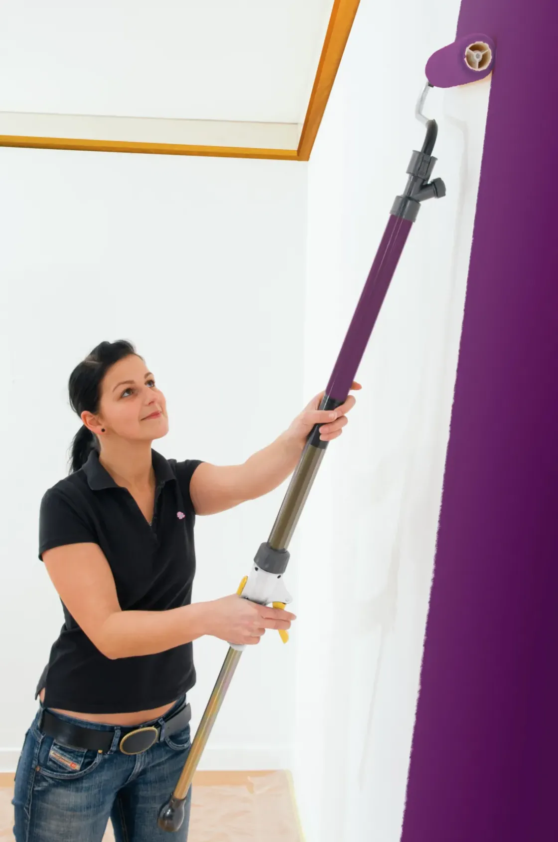 Wagner Automatische Verfroller Easy Roller-Brico Outlet